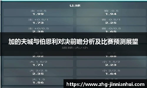 加的夫城与伯恩利对决前瞻分析及比赛预测展望